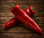 Pepper Ramiro Sp.