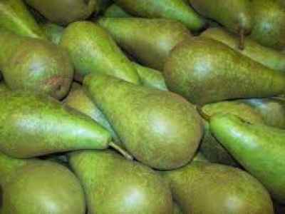 Pear Conference NL. 13kg
