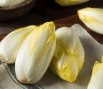Chicory