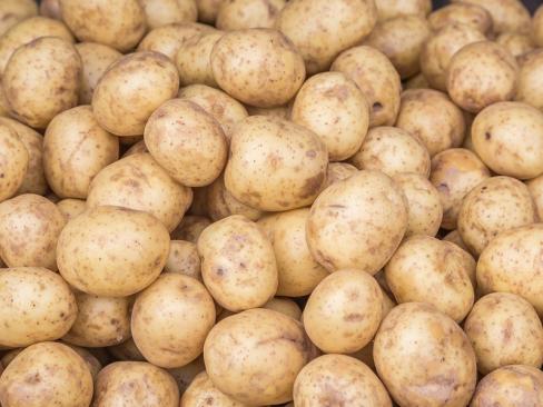Potato Cara