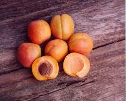 Apricot Sp.