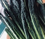 Kale Cavalonero