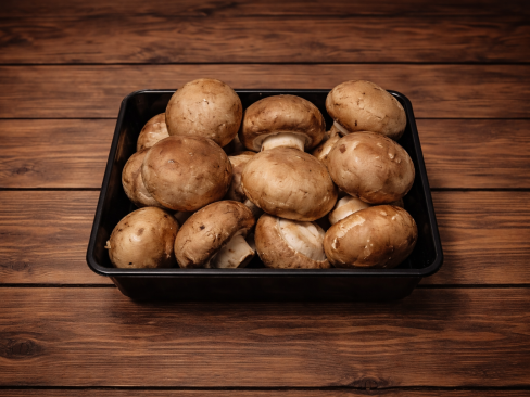 Mushroom CB 8 x 200g