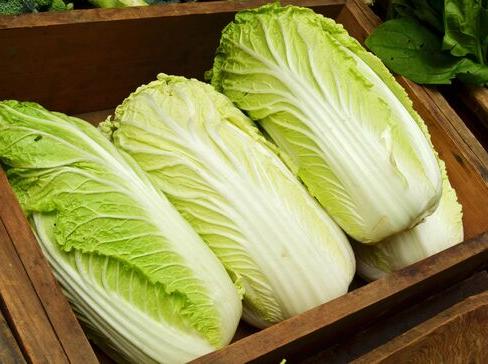 Cabbage Chinese