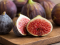 Fig Sp.