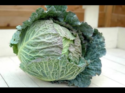 Cabbage Tundra