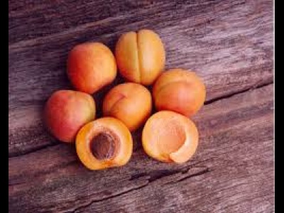 Apricot Sp.