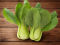 Bok Choi U.K.