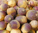 Swede.