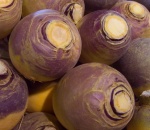Swede