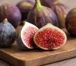 Fig Sp.