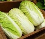 Cabbage Chinese