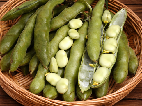 Broad Beans