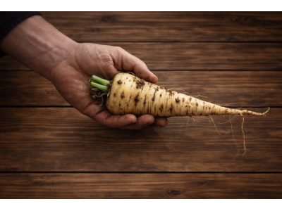 Parsnip