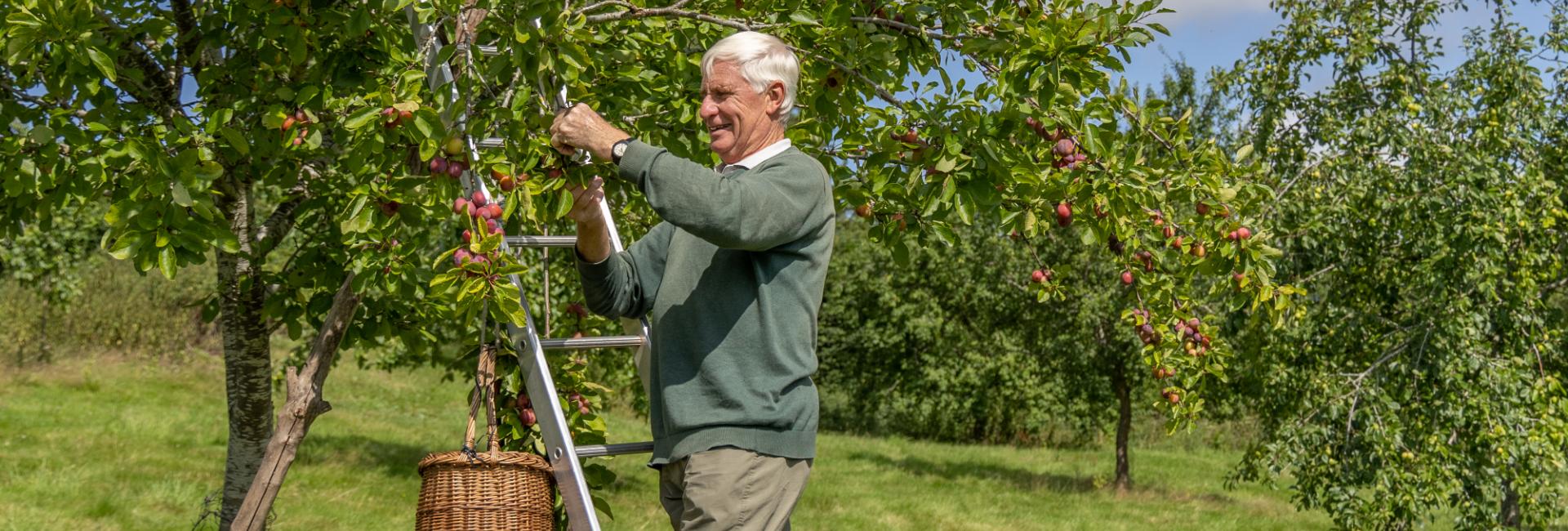 Contact Phoenix Organics Bromyard Herefordshire