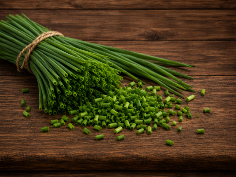 Herb Chive Fr.