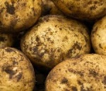 Potato Orla