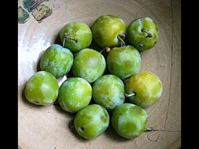 Plums Greengage