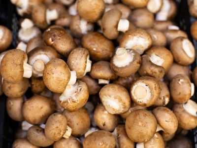 Mushroom Closed Brown