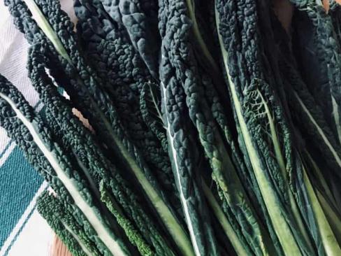 Kale Cavalonero