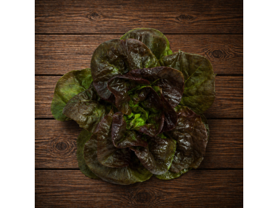 Lettuce Rougette Fr.
