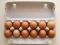 Organic Eggs