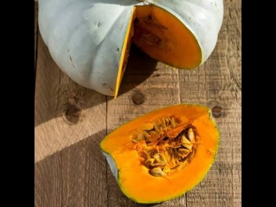 Squash Crown Prince