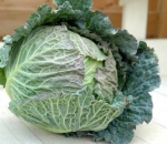Cabbage Tundra