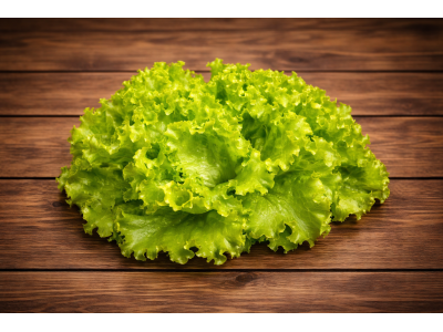 Lettuce Batavia