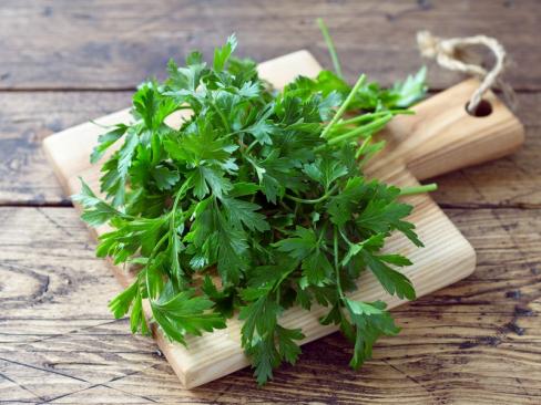 Herb Parsley Flat
