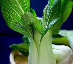 Pak-Choi
